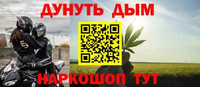 спиды Гай