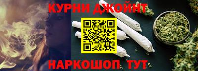 спиды Гай