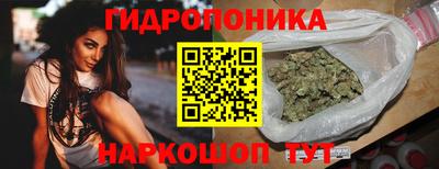 спиды Гай