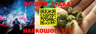 спиды Гай